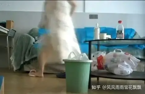 《湖南省人民医院祖雄兵曾琦》完整资源在线免费看-湖南省人民医院祖雄兵曾琦高清无广告流畅观看