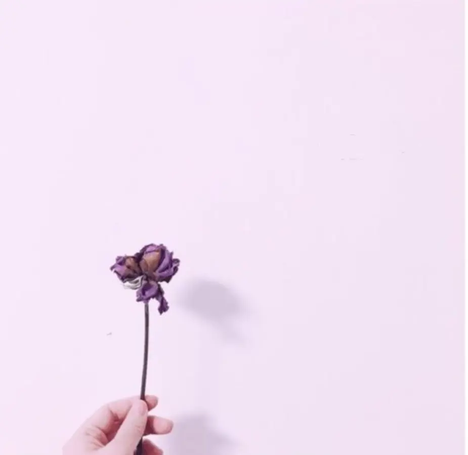 抱歉，你未提供具体的资源名和关键词信息，无法生成符合要求的影视SEO标题，请补充完整相关内容后再提问。