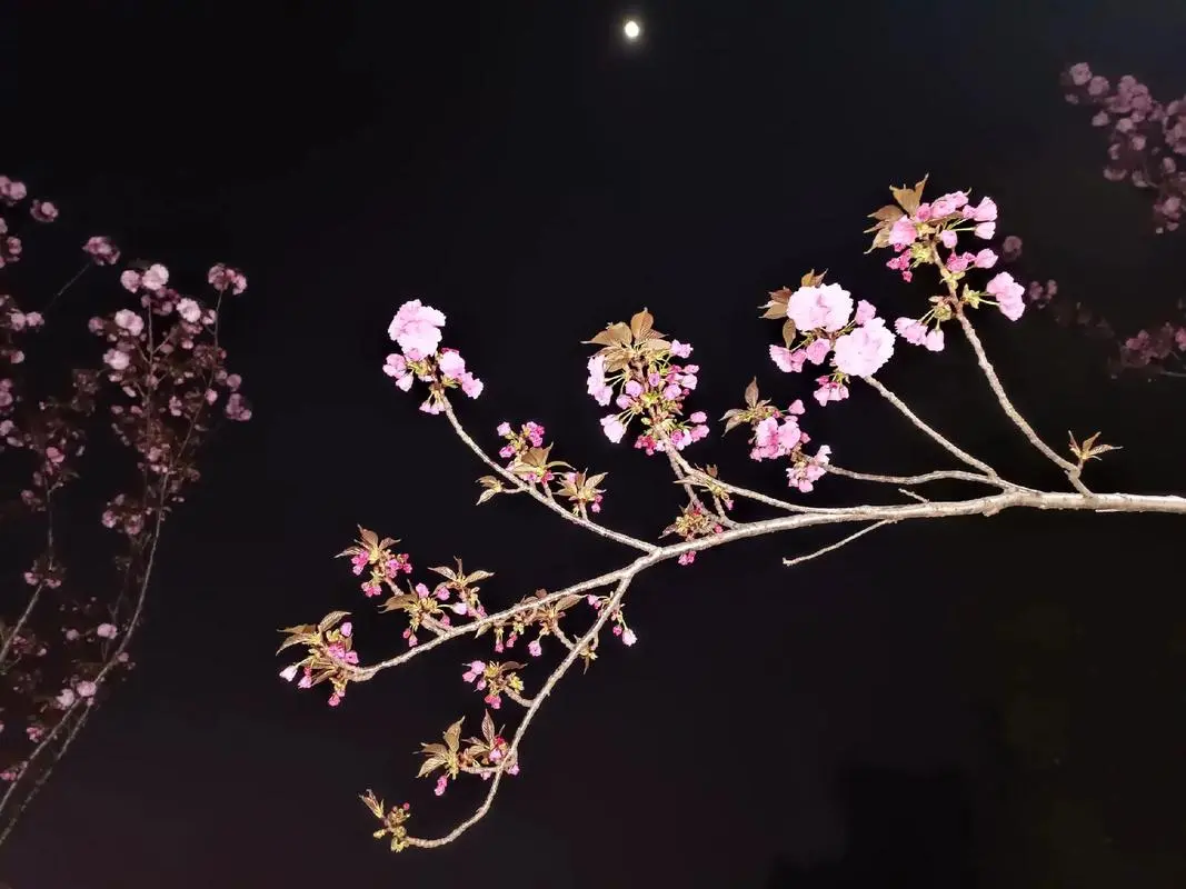 《总有人留在春天》同步更新资源- 总有人留在春天支持免费在线观看