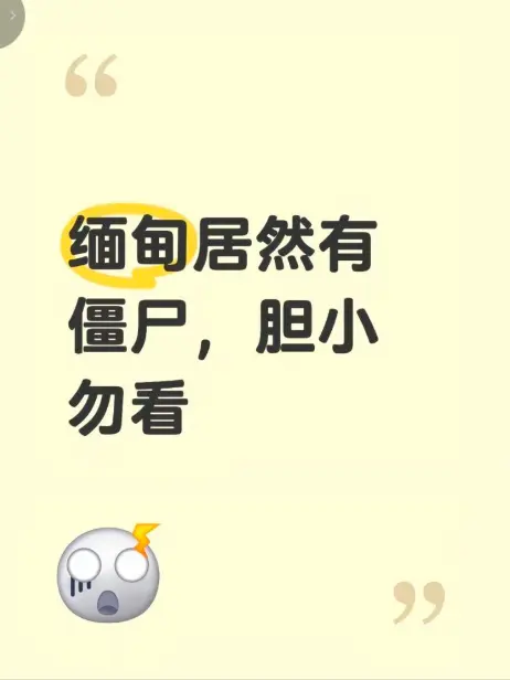 《缅甸僵尸出土事件》高清全集免费播放 - 带你了解缅北神秘事件背后的故事