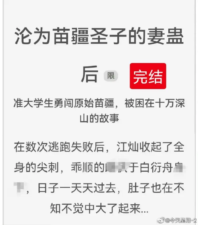 沦为苗疆圣子妻蛊后-苗疆圣子妻-脑洞大开宝藏文-1080P全集在线观看