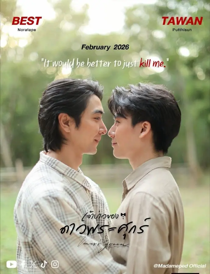 泰剧《维纳斯的新郎》1080P资源分享-2026热门双男主剧集-准新郎剧情在线解析
