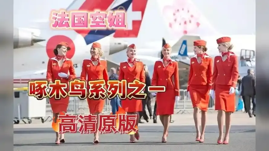 《法国空姐》超高清4K完整版- 法国空姐1-3季同步更新- 热门法国影视在线看