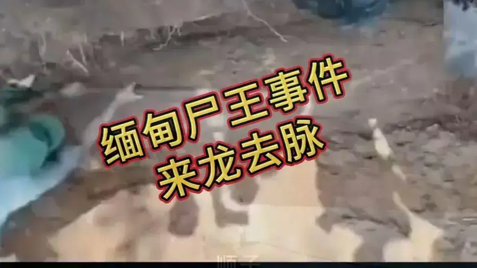 《缅甸僵尸出土事件》相关资源图片