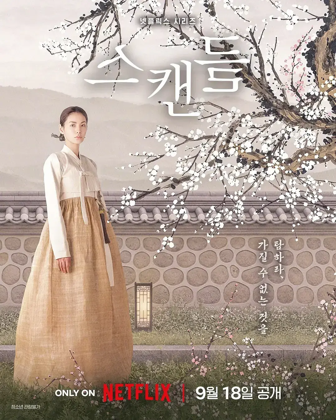 《挑情丑闻》Netflix韩剧全集在线观看- 完整未删减版免费资源- 就在VS影院