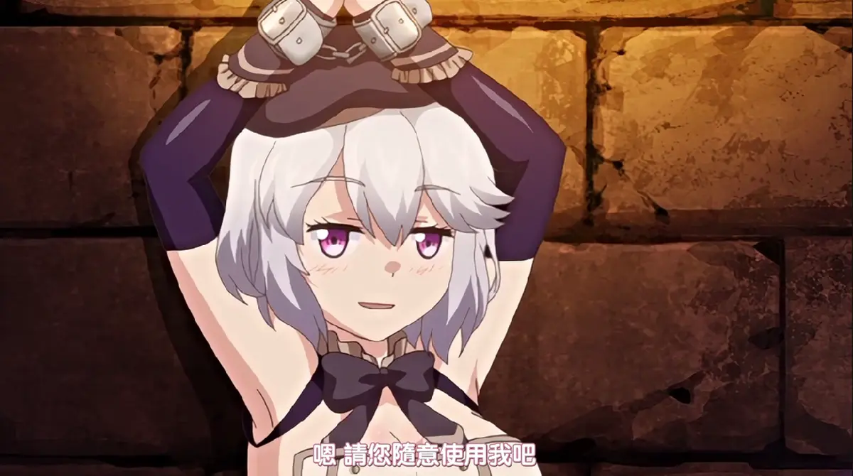 《Knight of Erin》无删减高清影视观看-Knight of Erin 1080P播放-全集资源迅雷/夸克网盘-VS影院