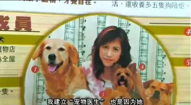 欧美大片《女人与狗》中字全集 1080P超清 未删减版 无广告在线播放 支持网盘下载