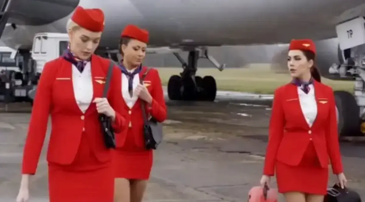 欧美高分电影法国空乘4免费看- 满天星电影收录完整资源- 4K完整版无广告在线观影- VS影院同步更新上线