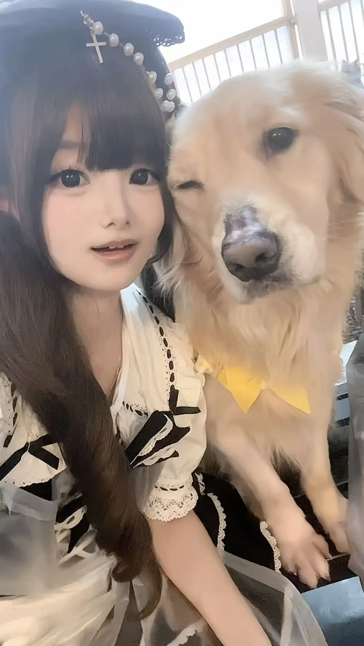 《香香公主与金毛》无删减版_《金毛小蛋糕海鲜事件》完整版原视频_金毛吃小蛋糕海鲜福短剧在线观看